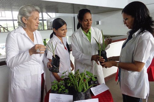 Unos 159 millones de atenciones médicas se realizaron en 2019