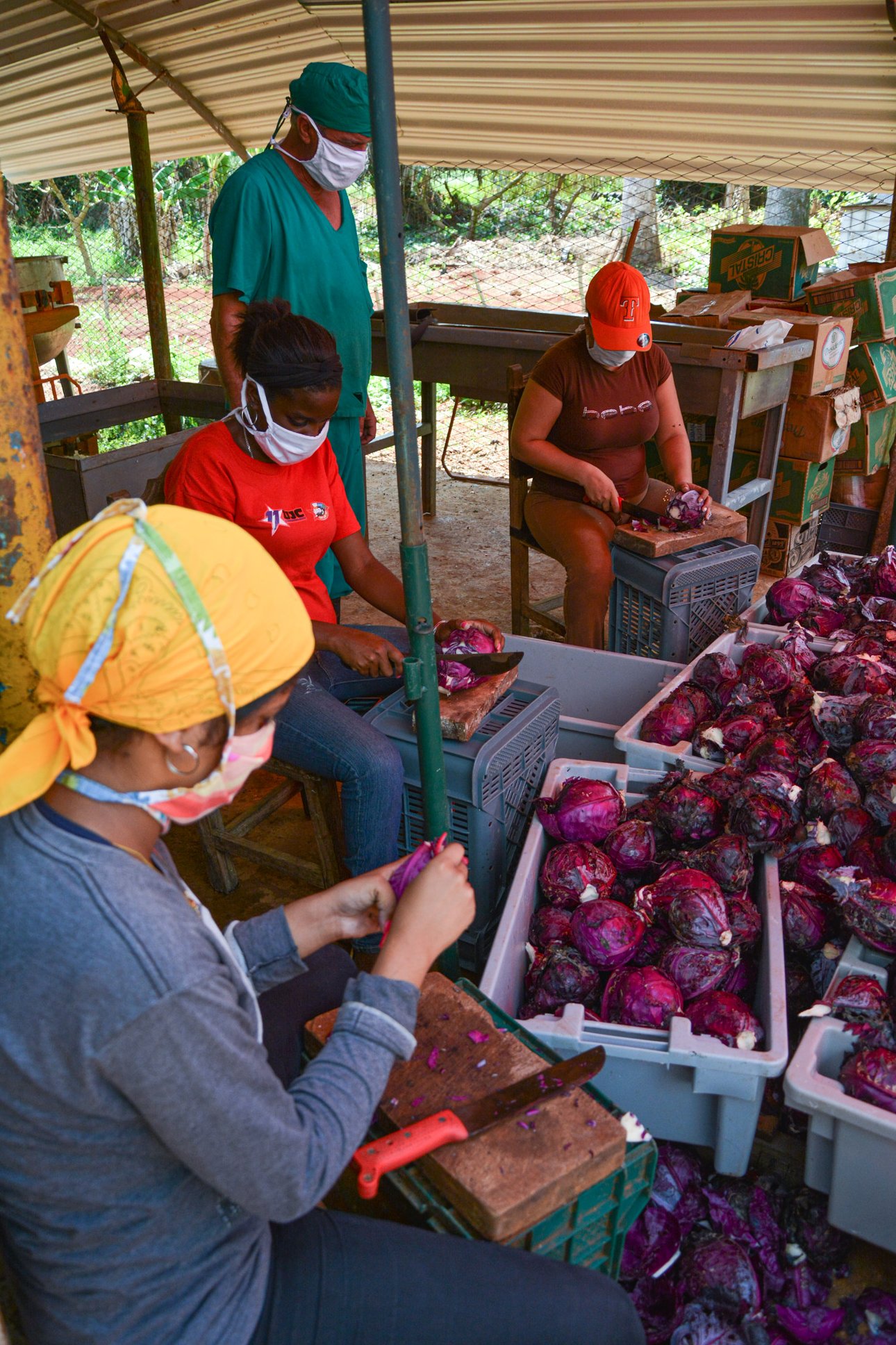 Las labores relacionadas con la alimentación también cuentan con el apoyo y el entusiasmo de los jóvenes.