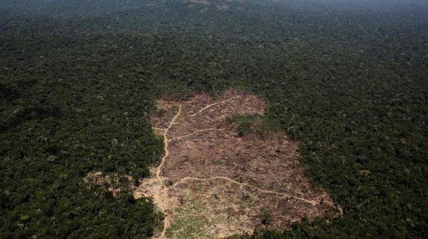 Deforestación en Amazonas alcanza sus niveles más altos