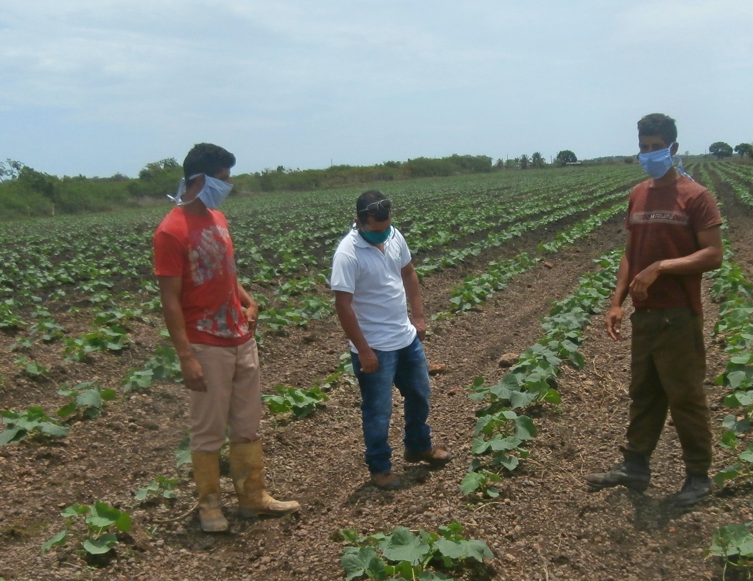 Jóvenes que cultivan la tierra para el pueblo