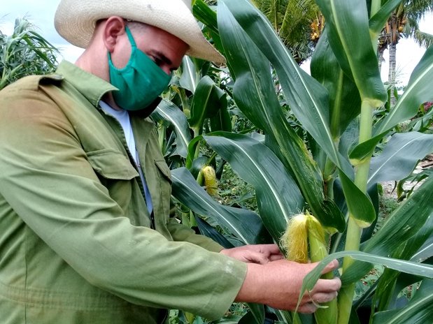 Después de un arduo trabajo Yoandy ya recoge sus frutos