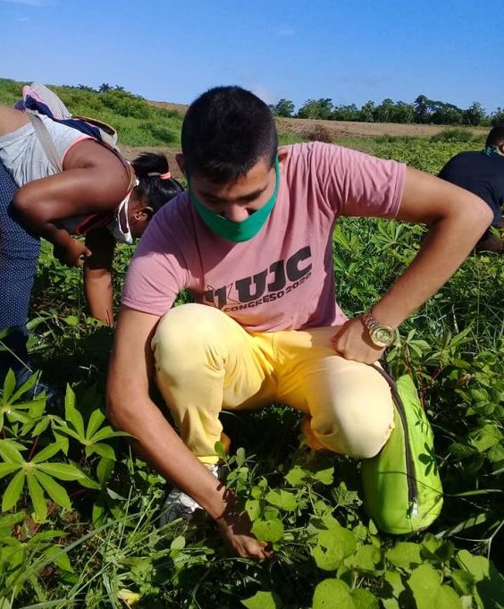 Trabajo voluntario