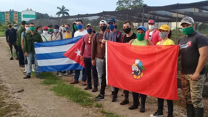 Las Brigadas Jóvenes por la vida estuvieron activas durante todo el verano.