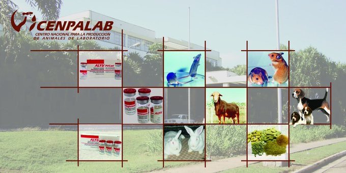 El Centro Nacional para la Producción de Animales