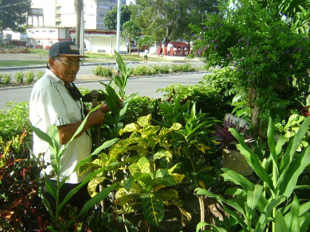 «Las plantas constituyen mi hobby, y lo serán hasta el último día»