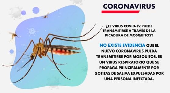 No está comprobado que las picaduras de mosquitos transmitan el coronavirus
