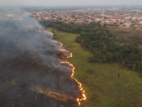 hectáreas del Pantanal consumidas por las llamas