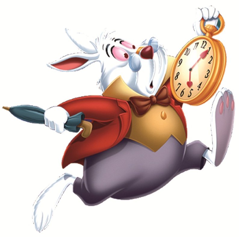 Un conejo con un reloj