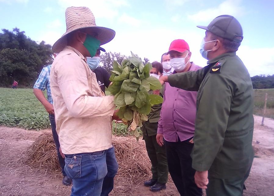 En conversación con productores, se interesaron por el estado de los semilleros de tabaco y la calidad de las posturas, allí donde hubo alguna afectación