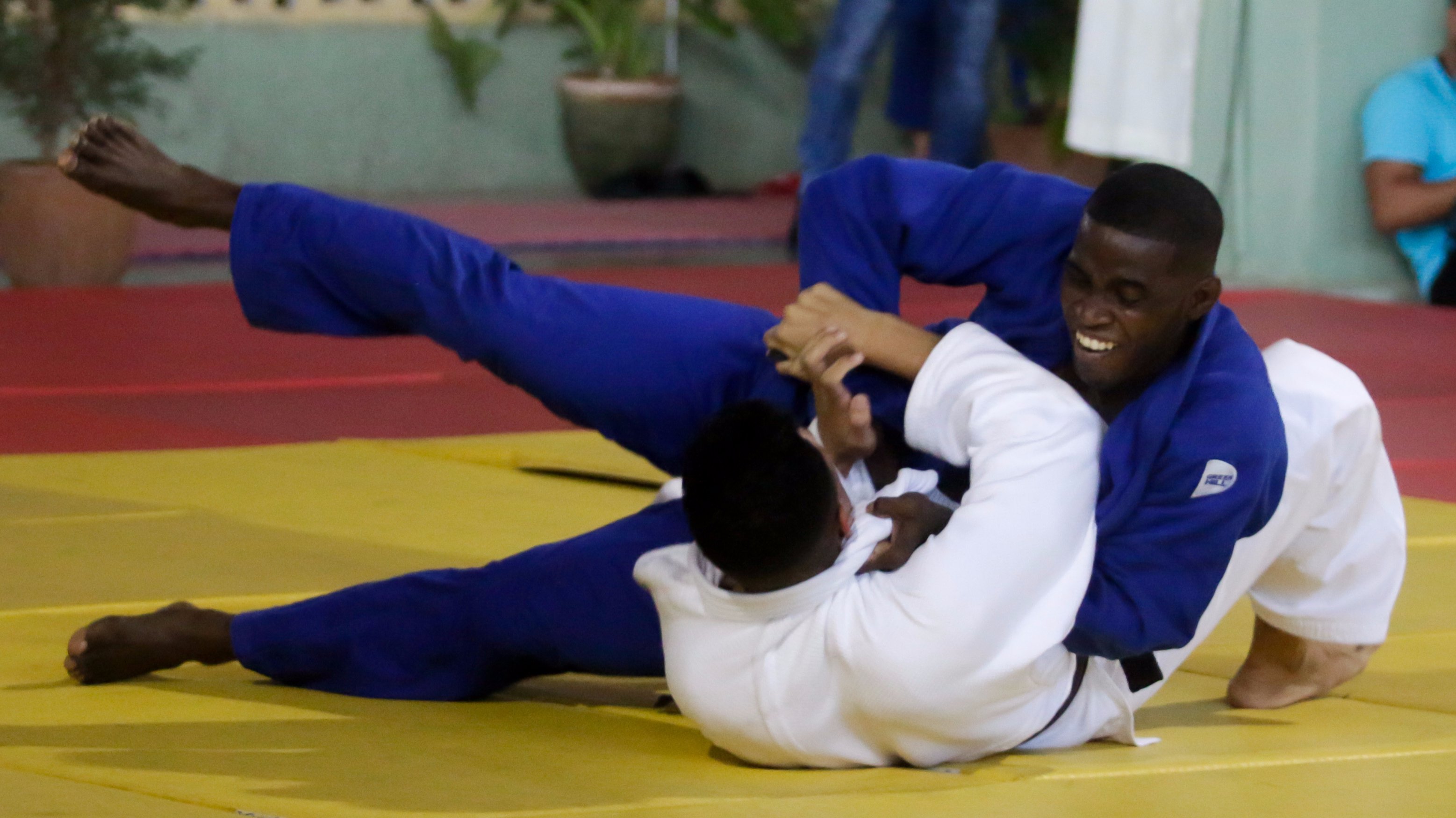 Gala del judo