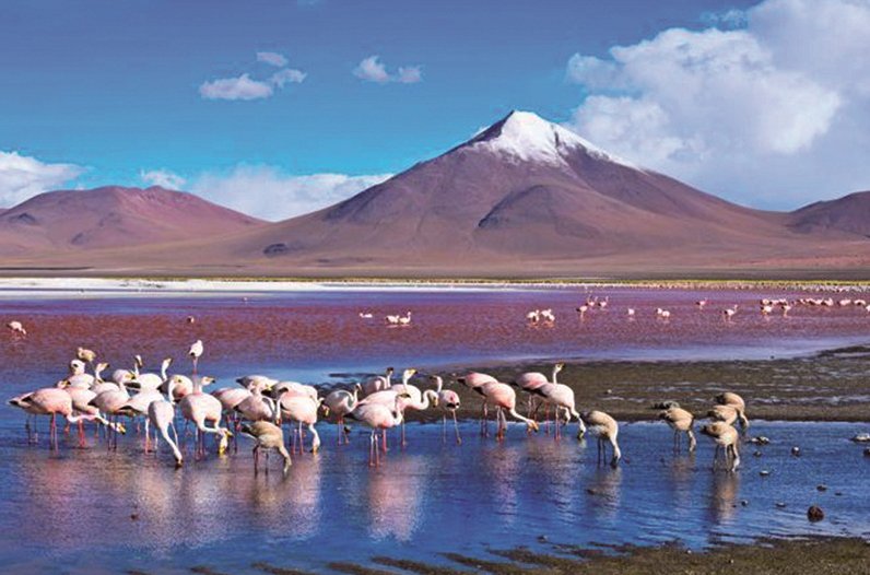 Laguna colorada