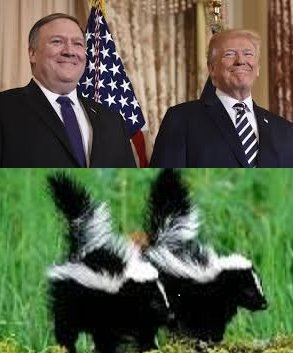 Trump y Pompeo