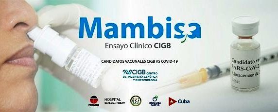 Candidato vacunal Mambisa