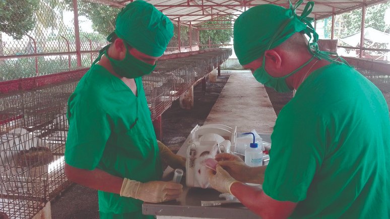 Joel Pérez Paz (derecha) y Javier Díaz Cruz (izquierda) atienden los animales del laboratorio del CIGB espirituano en la Universidad.