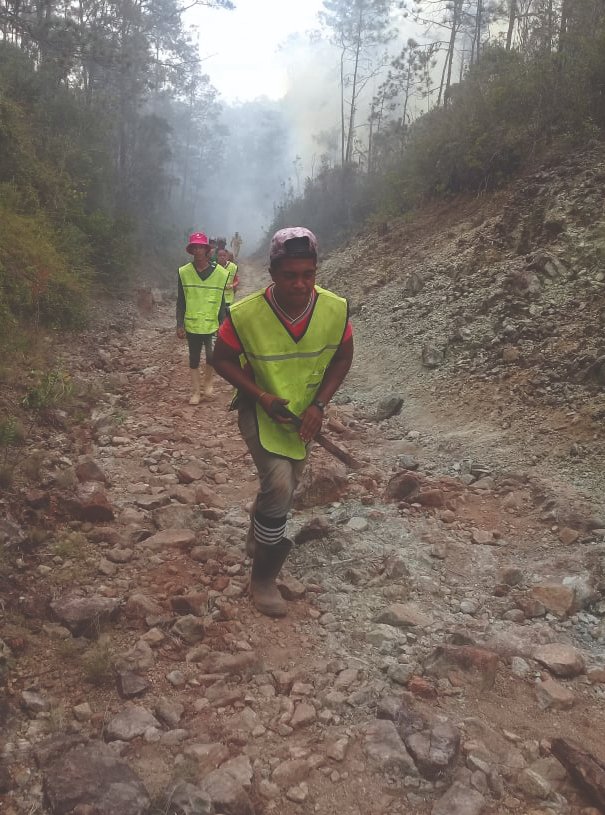 Fuerzas  especializadas