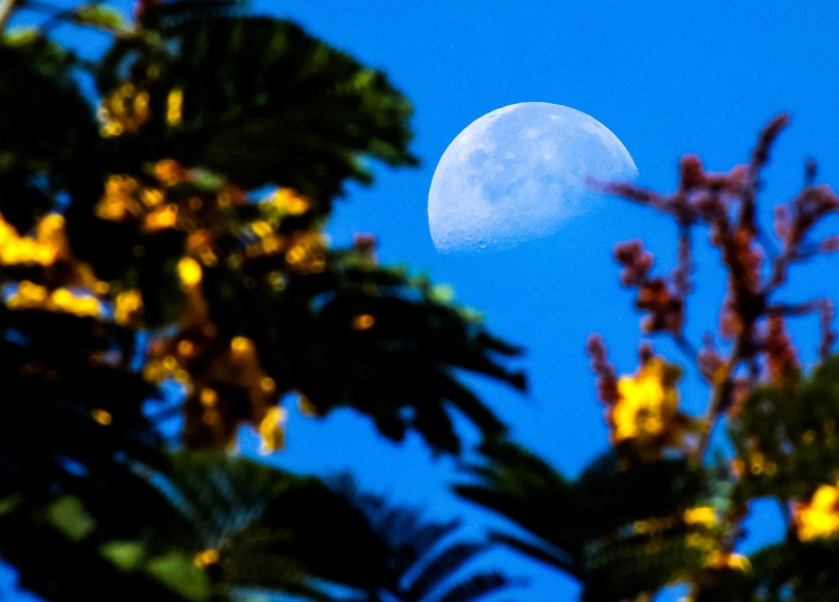 La Luna