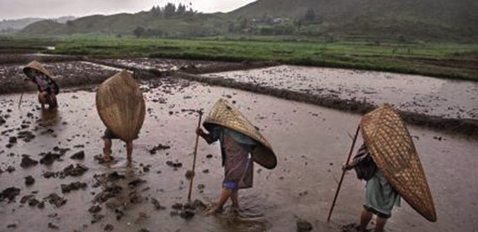 Trabajadores del  pueblo de Mawsynram, en Meghalaya (India)