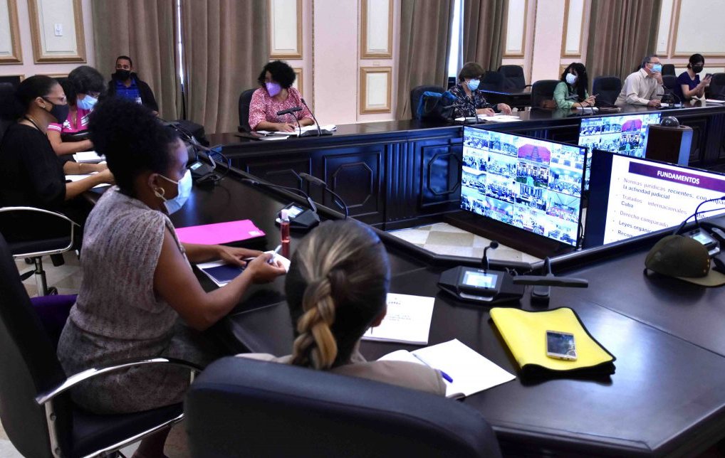 Mediante videoconferencia