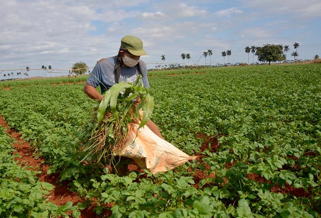 Agricultura 2022