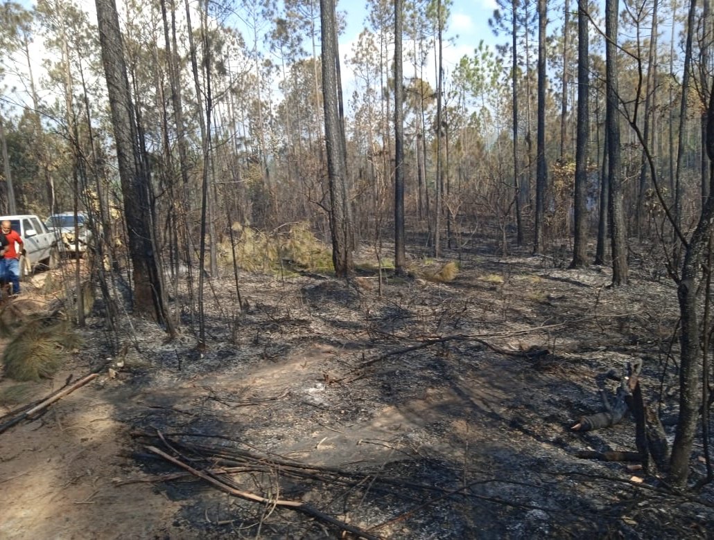 Incendio en Pinar del Río