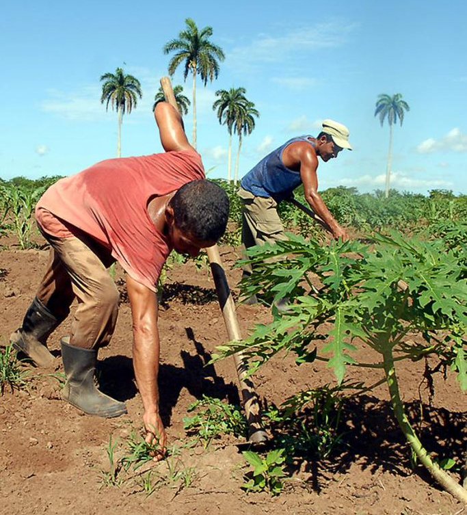 Día del Campesino