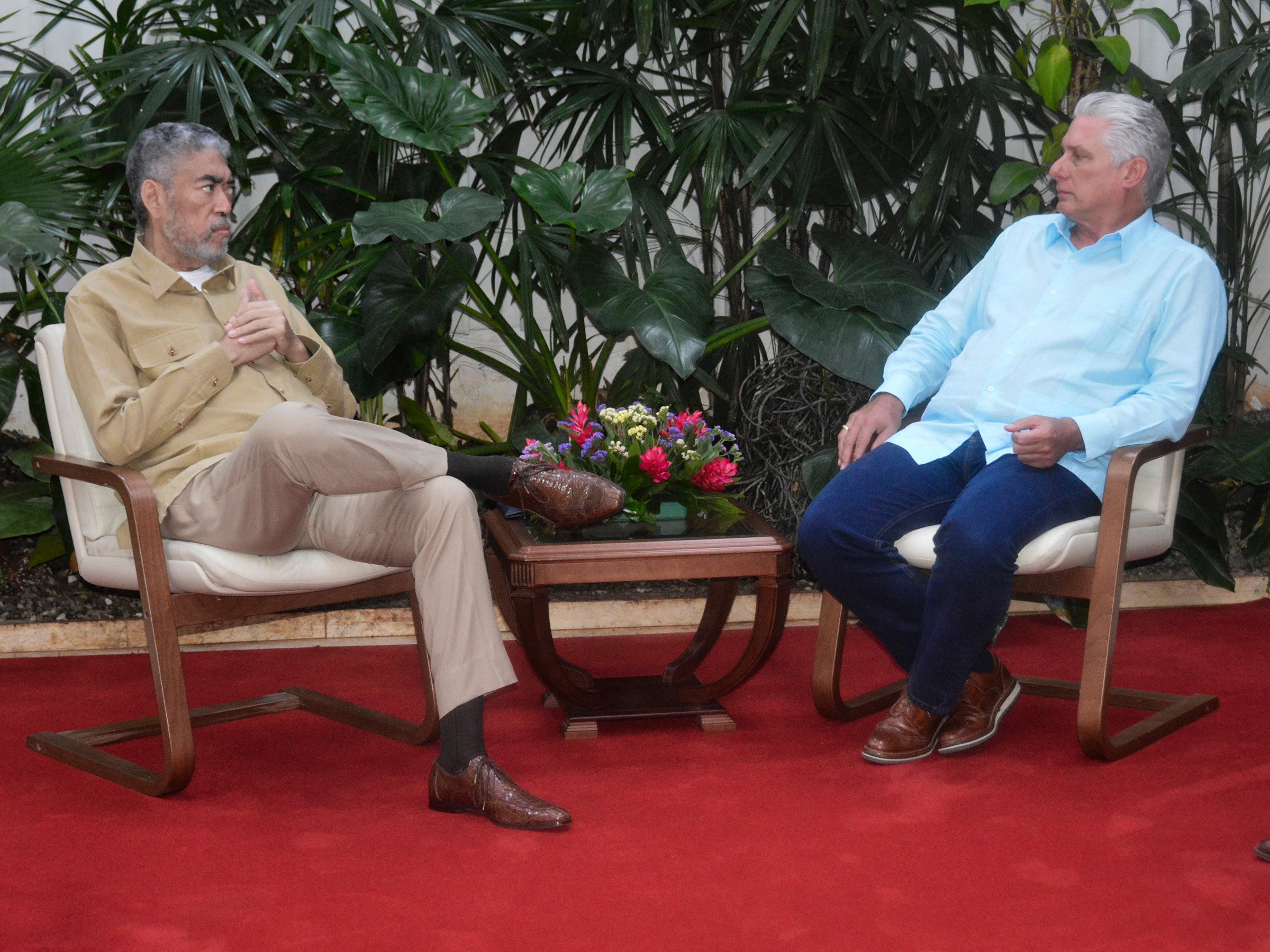 Encuentro de Miguel Díaz-Canel con José Miguel Mejía Abreu, secretario general del Partido Movimiento Izquierda Unida, de República Dominicana