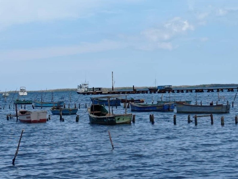 La pesca de plataforma y la agricultura