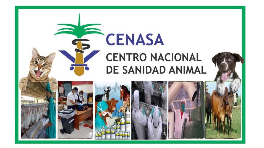 CENASA