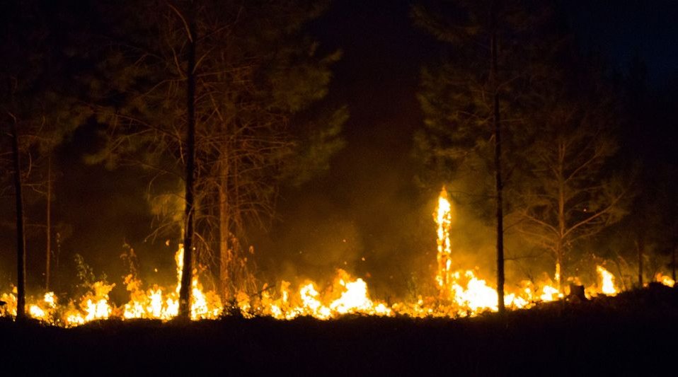 Incendio forestal