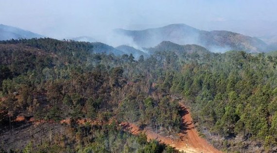 Incendio forestal