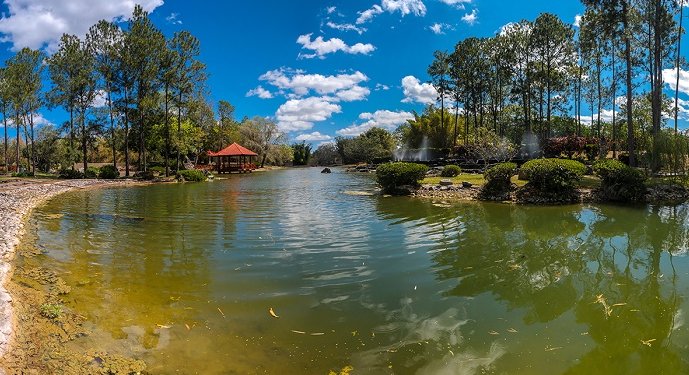 Jardín Botánico Nacional