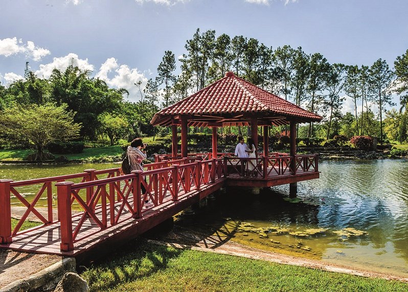 El Jardín Botánico Nacional