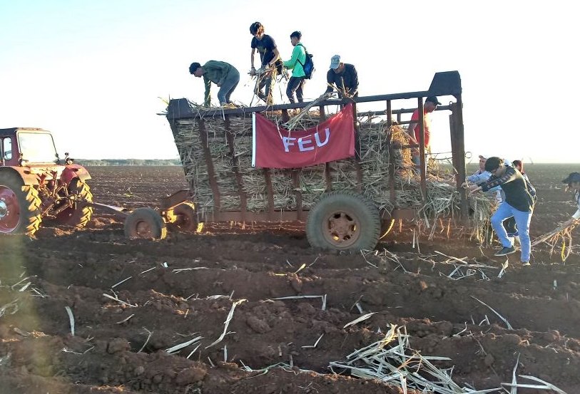 Jóvenes matanceros en trabajo voluntario