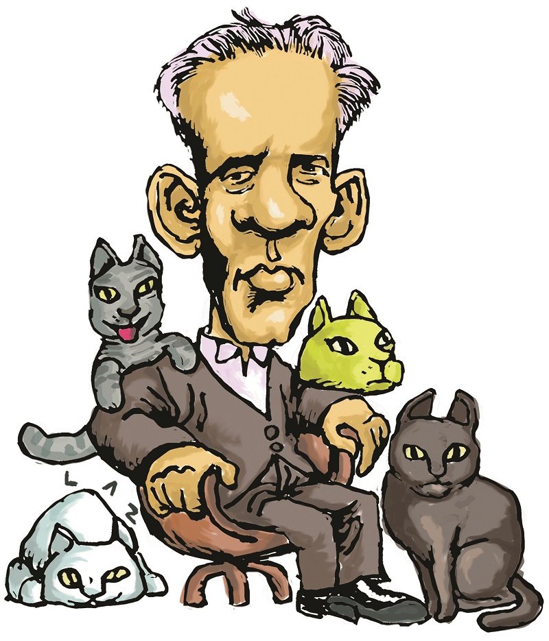 El Hombre y los gatos