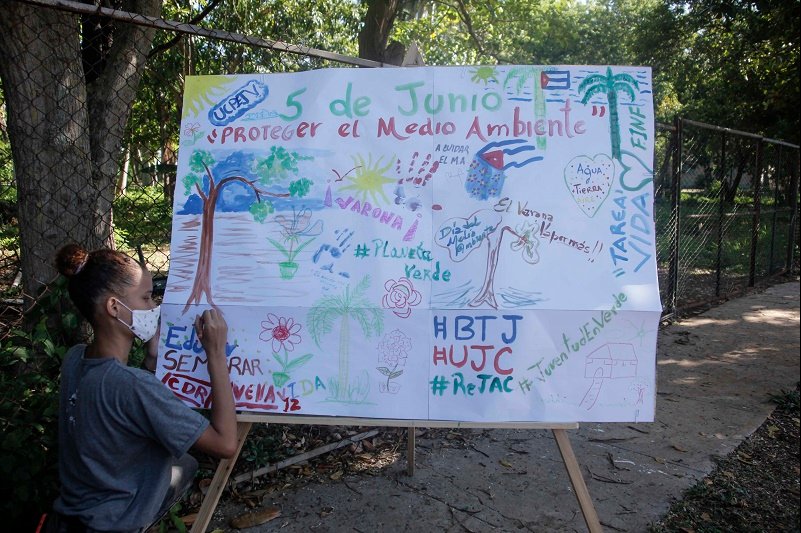 Acciones educativas en favor del medio ambiente