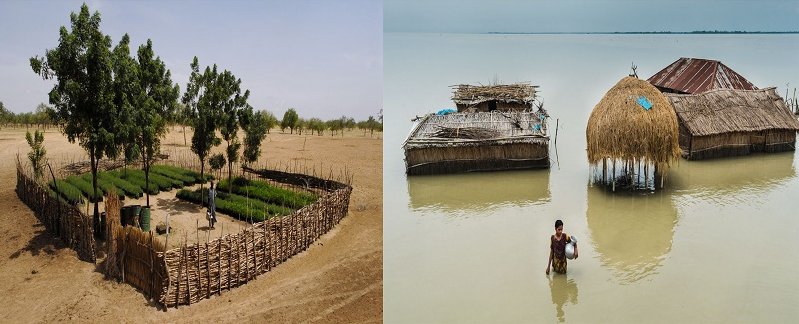 El cambio climático