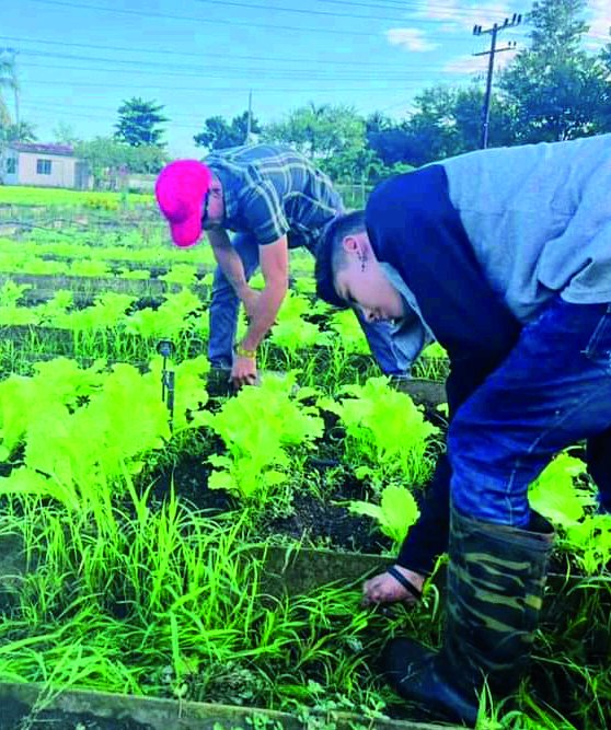 Producción en el campo