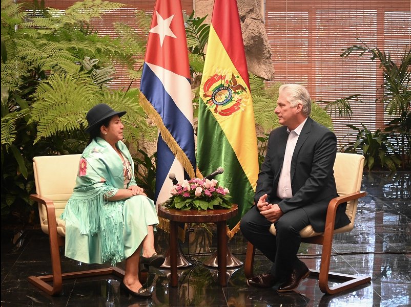 Miguel Díaz-Canel Bermúdez con canciller de Bolivia