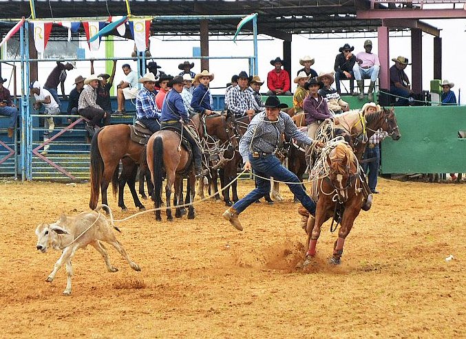 Imágenes de la XXV edición de la Feria Internacional Agroindustrial Alimentaria