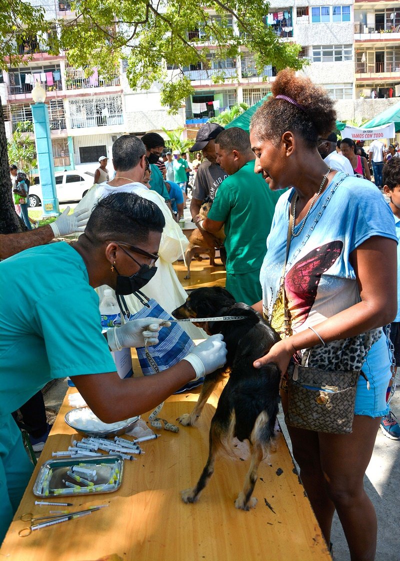 Los trabajadores del sector veterinario