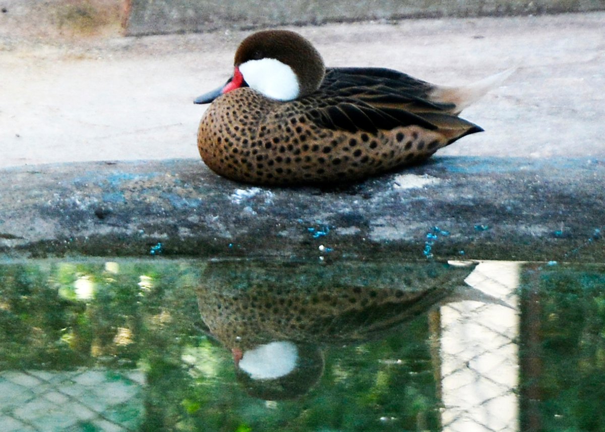 Entretenimiento y conexión con la naturaleza
