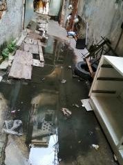 Aguas negras