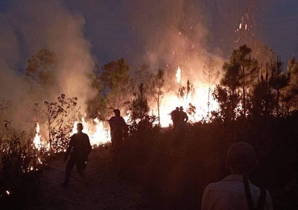 Incendios consumieron centenares de hectáreas de bosques en varias provincias de Cuba