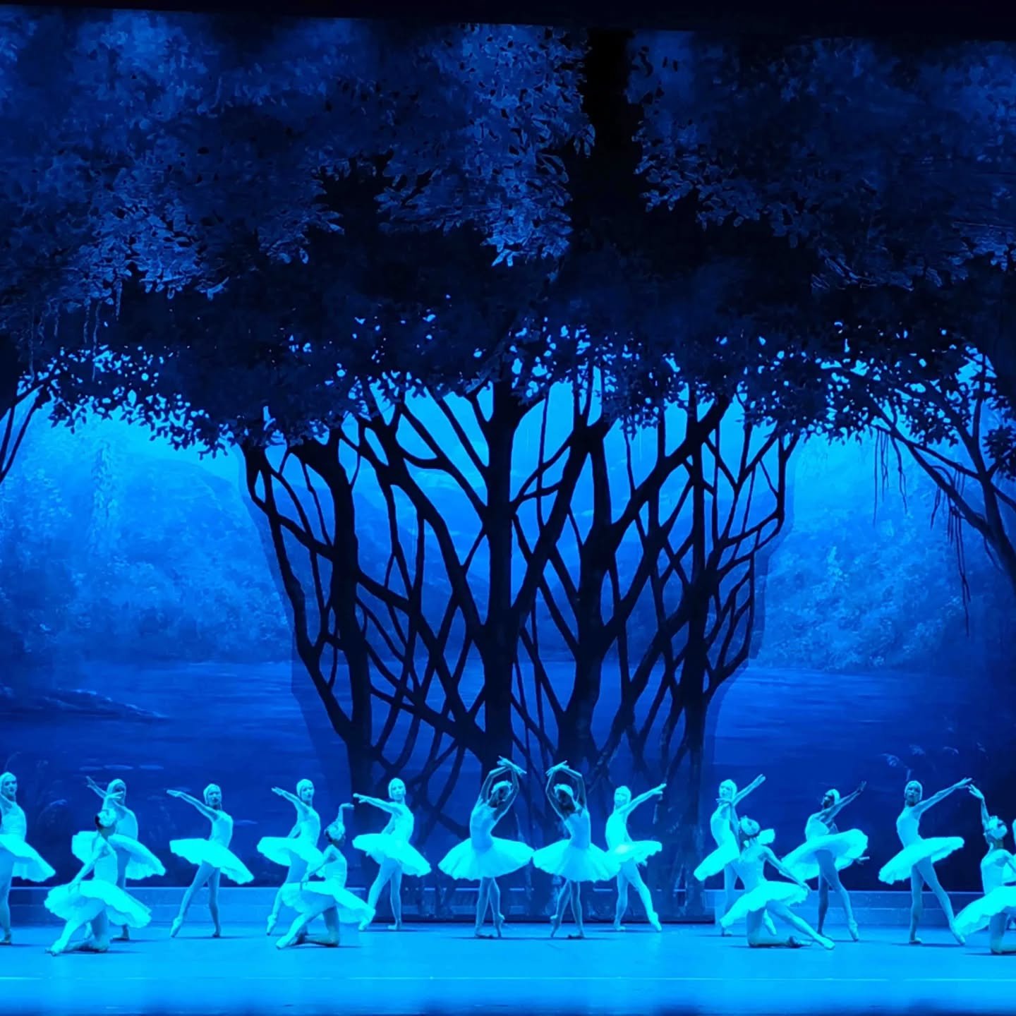 Ballet Nacional de Cuba alista nuevas funciones