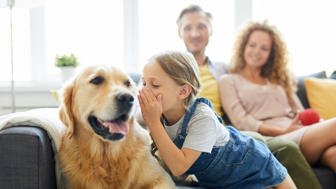 ¿La IA podría ayudarnos a 'hablar' con los animales?