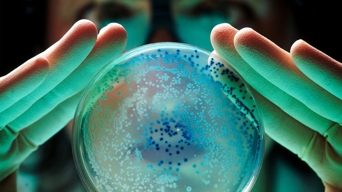 Gen hace invencibles a las bacterias y se propaga por todo el mundo