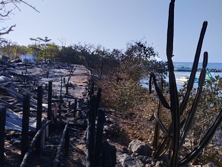 Delfinario de Cienfuegos: aportan nuevos datos sobre incendio