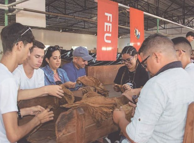 Los campamentos de verano son también un espacio para que las nuevas generaciones aporten