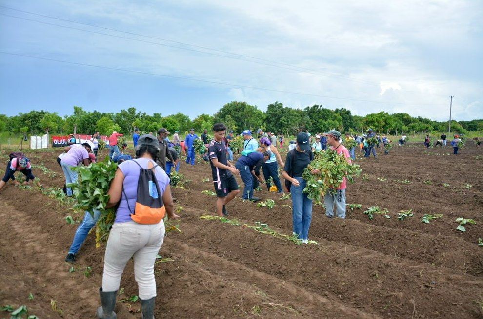 Inició la campaña de frío en Isla de la Juventud
