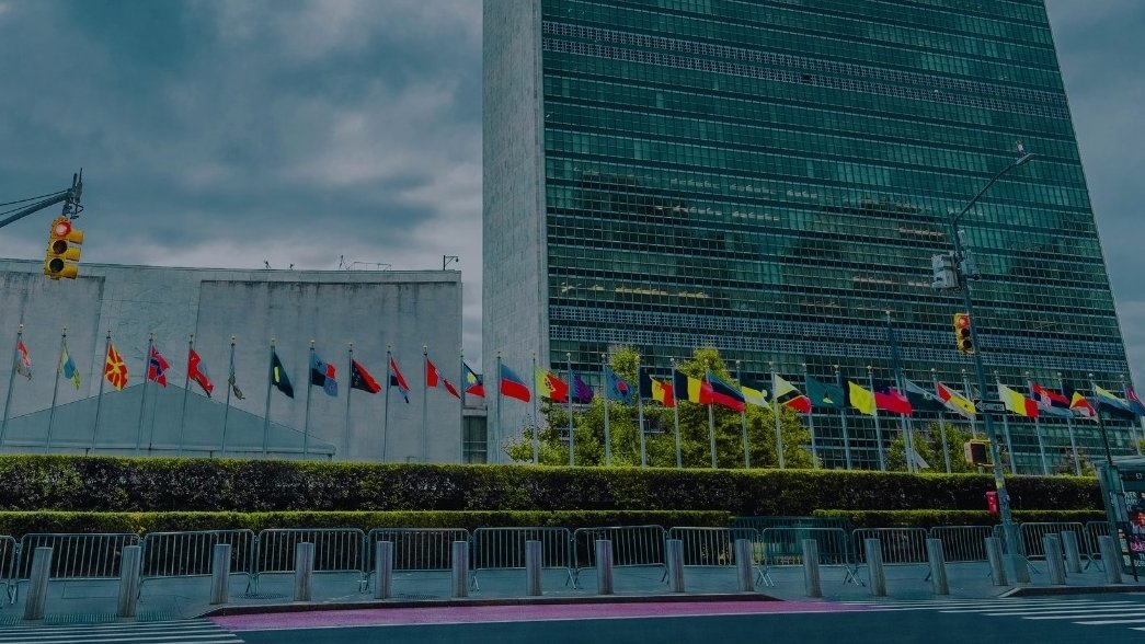 Asamblea General de la ONU